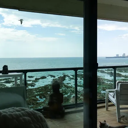 Joli Accompagne De Boubouille Le Chat, Vue Ocean, 6 Personnes *